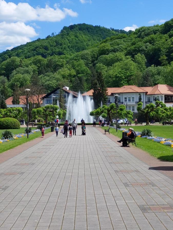 فندق Aleks Sobe Banja Koviljača المظهر الخارجي الصورة
